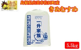 【ふるさと納税】新米予約 出雲市佐田町産きぬむすめ 「一升家族」（白米5.5？）【1-295】