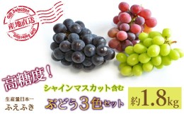 【ふるさと納税】＜2024年先行予約＞厳選！ 山梨県笛吹市産 シャインマスカット含む３色セット 約1.8kg 156-007 | ぶどう 葡萄 3色 セッ