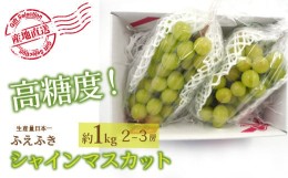 【ふるさと納税】＜2024年先行予約＞厳選！ 山梨県笛吹市産シャインマスカット 約1.0kg(2〜3房) 156-009 | シャインマスカット 先行予約 