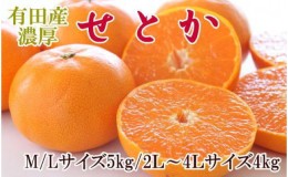 【ふるさと納税】一度は食べていただきたい「有田産のせとか」約4〜5kg（サイズおまかせ）★2025年2月中旬頃より順次発送【TM138】