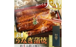 【ふるさと納税】大型サイズふっくら柔らか 国産うなぎ蒲焼き 2尾