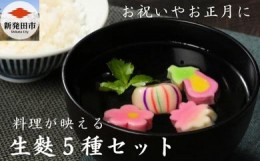 【ふるさと納税】料理が映える 生麩5種セット【 生麩 5種 セット お祝い 正月 年末 特別 縁起物 高級感 華やか  ひょうたん さくら なす 