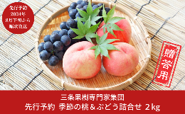 【ふるさと納税】先行予約 季節の桃&ぶどう詰合せ 約2kg [2024年発送分] 令和6年度 桃（日の出 あかつき なつっこ 川中島白桃 あきぞら 