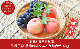 【ふるさと納税】先行予約 季節の桃&ぶどう詰合せ 約4kg [2024年発送分] 令和6年度 桃（日の出 あかつき なつっこ 川中島白桃 あきぞら 