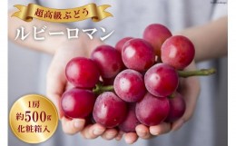 【ふるさと納税】【先行予約】超高級 ぶどう ルビーロマン 1房 約500g 化粧箱入 / モアショップヤマモト / 石川県 宝達志水町 [A17386029