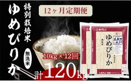 【ふるさと納税】日経トレンディ「米のヒット甲子園」大賞受賞「特栽米ゆめぴりか無洗米5kg×2袋」定期便！毎月1回・計12回お届け