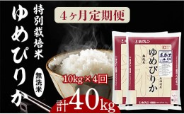 【ふるさと納税】日経トレンディ「米のヒット甲子園」大賞受賞『特栽米ゆめぴりか無洗米5kg×2』定期便！毎月1回・計4回お届け