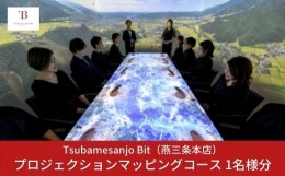 【ふるさと納税】Tsubamesanjo Bit 燕三条本店 プロジェクションマッピングコース１名様 【067S001】