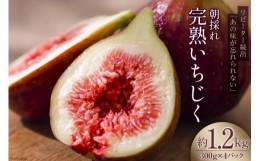 【ふるさと納税】先行予約 いちじく 生 完熟 約1.2kg (300g×4パック) [モアショップヤマモト 石川県 宝達志水町 38600615] 果物 フルー