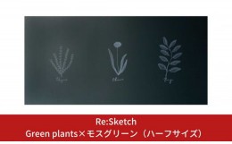 【ふるさと納税】壁に貼るインテリア黒板 Re:Sketch Green plants×モスグリーン（ハーフサイズ）【040S009】