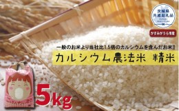 【ふるさと納税】カルシウム農法米　精米5kg（茨城県共通返礼品・かすみがうら市産）