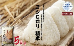 【ふるさと納税】コシヒカリ　精米5kg（茨城県共通返礼品・かすみがうら市産）