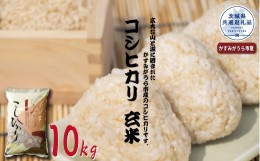 【ふるさと納税】コシヒカリ　玄米10kg（茨城県共通返礼品・かすみがうら市産）