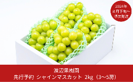 【ふるさと納税】先行予約 シャインマスカット2kg（3~5房） [2024年発送分] 令和6年度 贈答用 シャインマスカット 新潟県 三条市産 ぶど