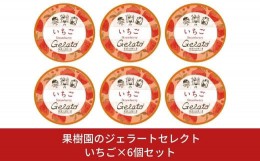 【ふるさと納税】[季節限定]果樹園のジェラートセレクト [いちご6個セット] ストロベリー ジェラート詰合せ アイス詰合せ [田沢農園] 【0