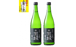 【ふるさと納税】日本酒ハイボール 王紋 大吟醸 極辛19 720ml×2【 新潟 地酒 新発田市 日本酒 大吟醸 極辛口 ハイボール ソーダ割り 720