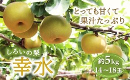 【ふるさと納税】梨 幸水 5kg 14〜18玉 千葉県 白井市 しろいの梨 予約受付