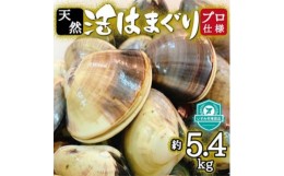 【ふるさと納税】プロも認める 活はまぐり 国産 天然 約5.4kg 千葉県 九十九里産 _ 蛤 ハマグリ 魚貝 魚介 海鮮 貝 出汁 だし プロ仕様 