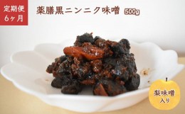 【ふるさと納税】【定期便 6ヶ月】 薬膳黒ニンニク味噌 500g