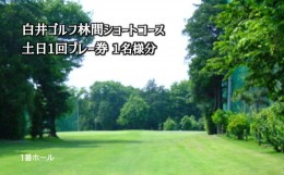【ふるさと納税】白井ゴルフ林間ショートコース 土日1回プレー券 1名様