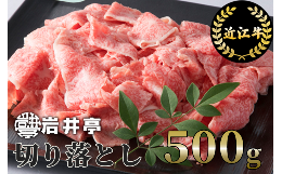 【ふるさと納税】A-E16 岩井亭 近江牛 切り落とし500g[高島屋選定品]（株）高島屋洛西店