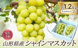 【ふるさと納税】≪令和6年度 先行予約≫山形県産 シャインマスカット 2房 約1.2kg前後 FSY-0579