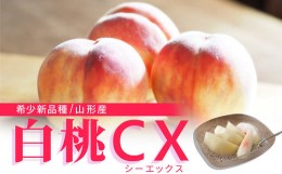 【ふるさと納税】《先行予約 令和6年9月下旬発送》山形県産 白桃CX 秀品 約2.5kg FSY-0582