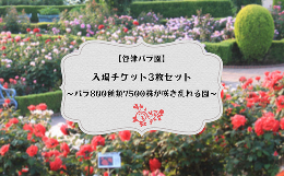 【ふるさと納税】バラ800種類7500株が咲き乱れる【谷津バラ園】入場チケット3枚セット　バラ色のしあわせなひとときを！