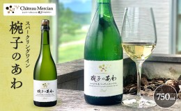 【ふるさと納税】スパークリングワイン 椀子のあわ 750ml ギフト シャトーメルシャン椀子ワイナリー シャトーメルシャン ワイン お酒 酒 