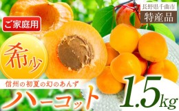 【ふるさと納税】家庭用あんずハーコット 1.5kg