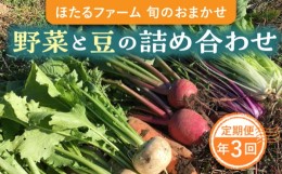 【ふるさと納税】※数量限定※【3回定期便】 野菜と豆の詰め合わせ セット 農家直送 旬野菜 おまかせ 多治見市 / ほたるファーム [TEB001