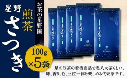 【ふるさと納税】八女市産 煎茶 さつき (100g×5袋) 合計500g 星野さつき 緑茶 日本茶 お茶 国産茶 お茶の星野園 八女茶 国産