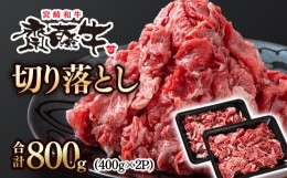 【ふるさと納税】黒毛和牛「宮崎和牛 齋藤牛」牛肉 切り落とし 800g 小分け 400g×2パック＜1.2-61＞国産牛 切り落とし牛肉