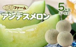 【ふるさと納税】【令和6年産先行予約】 アンデスメロン 約5kg（３〜５玉） 山形県鶴岡産 庄内砂丘メロン　白砂ファーム