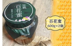 【ふるさと納税】完熟純粋 ハチミツ 百花蜜 600g×2個｜広島県産 はちみつ 蜂蜜 国産 [1444]