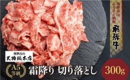 【ふるさと納税】【2024年8月発送】A5等級 飛騨牛 霜降り 切り落とし 300g 【日付指定不可】 ブランド牛 雌牛 5等級 A5ランク 切落し 薄