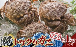 【ふるさと納税】青森県 陸奥湾産 活トゲクリガニ(メス) 約1kg (4〜5杯) 【白砂活貝組 琉宝丸】 漁師直送 かに カニ 蟹 魚介 青森 青森県