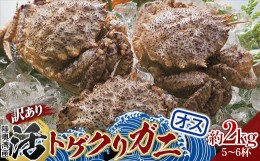 【ふるさと納税】《訳あり》青森県 陸奥湾産 活トゲクリガニ(オス) 約2kg (5〜6杯) 【白砂活貝組 琉宝丸】 漁師直送 かに カニ 蟹 魚介 