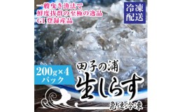 【ふるさと納税】a1553一艘曳き漁法「田子の浦」漁港直送生しらす 獲れたて急速冷凍200ｇ×4個セット