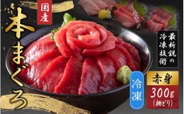 【ふるさと納税】【最新鋭の冷凍技術 刺身用】本まぐろ 赤身 300g（柵どり）【マグロ 鮪 本マグロ 国産 お刺身 冷凍配送】[A-107004]