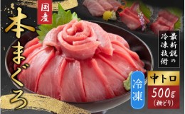 【ふるさと納税】【最新鋭の冷凍技術 刺身用】本まぐろ 中トロ 500g（柵どり）【マグロ 鮪 本マグロ お刺身 国産 冷凍配送】[A-107007]