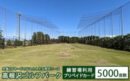 【ふるさと納税】高根沢ゴルフパーク練習場利用プリペイドカード（5000度数）※着日指定不可