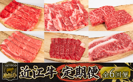 【ふるさと納税】定期便 近江牛 全6回 ステーキ 焼肉 カルビ モモ バラ 肩ロース 赤身 サーロイン （ 定期便 肉 黒毛和牛 お弁当 ブラン