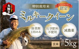 【ふるさと納税】【令和5年産】【無農薬に限りなく近い】ミルキークイーン 玄米 ５kg 除草剤１回のみ・有機質肥料による特別栽培米 