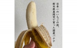 【ふるさと納税】真岡市産 バナナ とちおとこ 真岡市 栃木県 送料無料