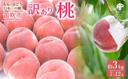 【ふるさと納税】＜2024年先行予約＞笛吹市産　訳あり桃 約3kg（7〜12玉） 205-003