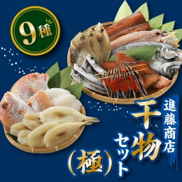 【ふるさと納税】BI019.【大満足】進藤商店干物セット（極）