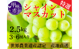 【ふるさと納税】シャインマスカット 2.5kg（3〜6房）山梨県甲州市 産地直送【2024年発送】（ORJ）C5-801