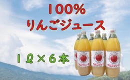 【ふるさと納税】信州１００％リンゴジュース（1L瓶×6本）(D-1.4)