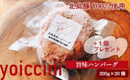 【ふるさと納税】北島豚100％使用！ヨイッチーニ旨味ハンバーグ200g×20個＋1個〈ヨイッチーニ〉